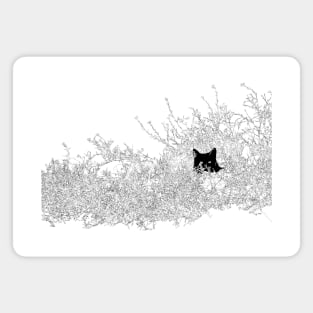 Hidden Black Cat Magnet